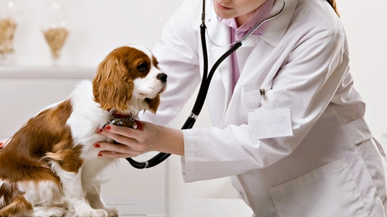 As a veterinarian, which animals are hard to treat?